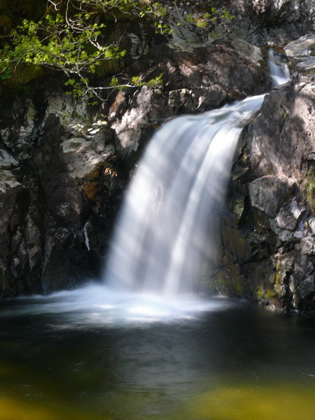 The Witches Cauldron